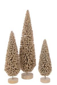 Christmas Tree Pet Champagne Colored Large