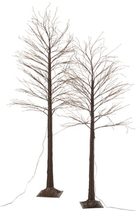 Tree 3000 Led Plastic Brown Large