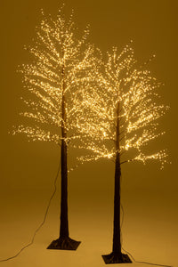 Tree 3000 Led Plastic Brown Large