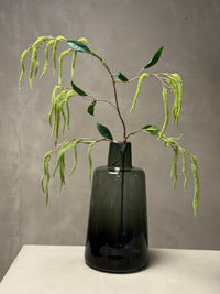 Amaranthus takken