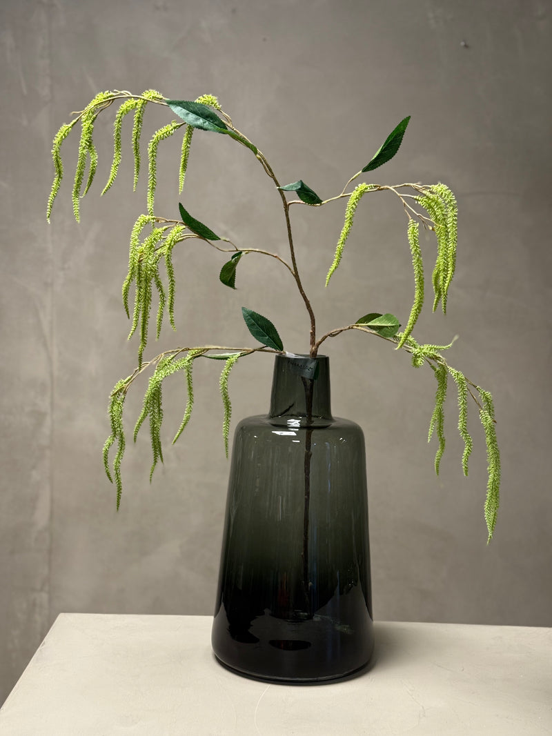 Amaranthus takken