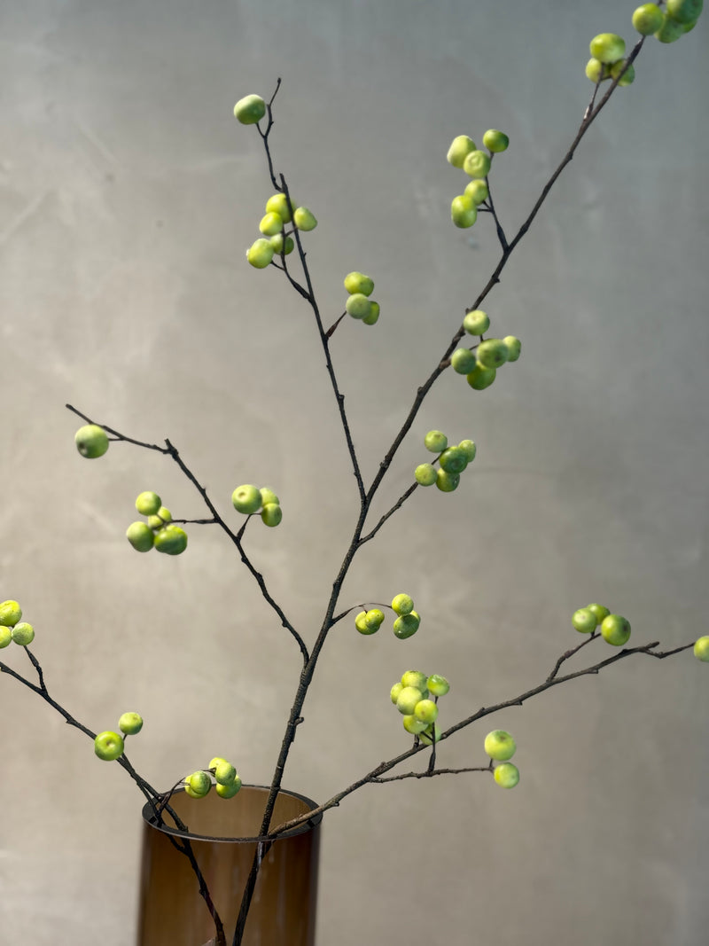 Rosehip Spray 118cm
