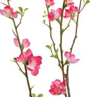 X LARGE BLOSSOM 130CM BEAUTY