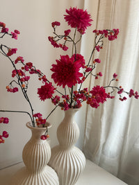 Pink dahlia XL