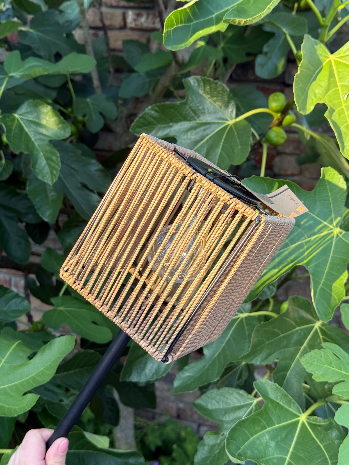 Solar lantaarn taupe