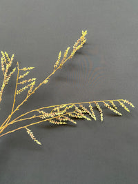 STACHYURUS SPRAY 106CM GREEN