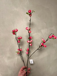 Apple berry pink
