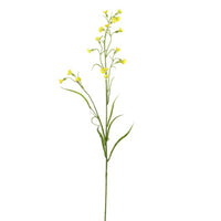 MINI NICOTIANA 75CM YELLOW