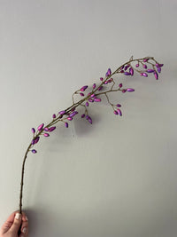 Rosehip purple