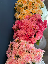 Dalia licht roze