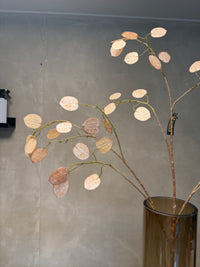 PRE -ORDER LARGE SILVER DOLLAR 110CM BEIGE