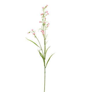 MINI NICOTIANA 75CM PINK