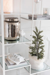 Pinebranch In Pot Glitter Plastic Green Small
