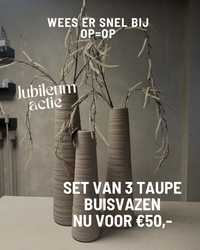 Actie - Set taupe buisvazen