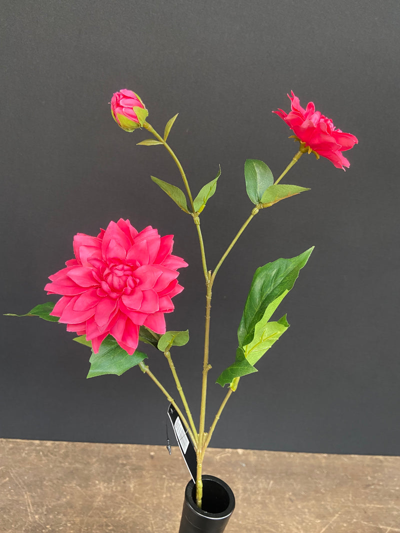 DAHLIA SPRAY X 3 70CM BEAUTY