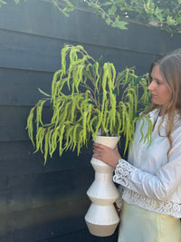 Amaranthus takken