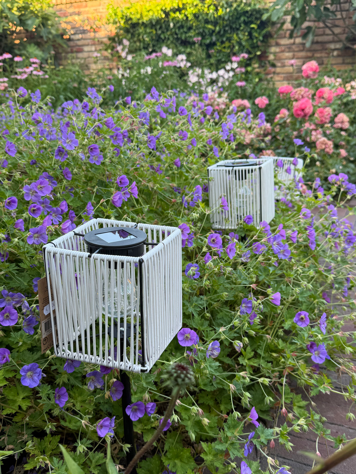 Solar lantaarn wit