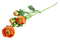 Ranunculus S oranje-L15B15H53CM