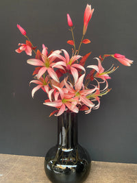 Slim Lily spray pink