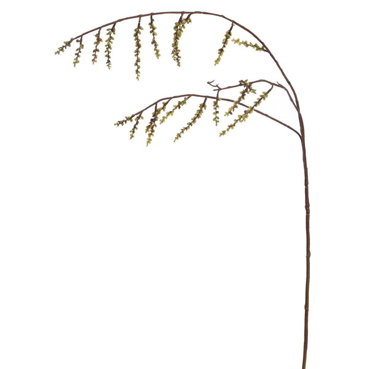 STACHYURUS SPRAY 106CM GREEN