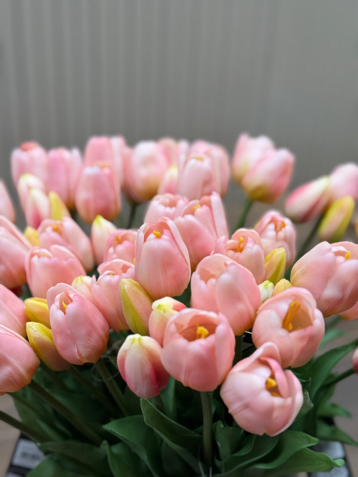 Tulpen roze lang