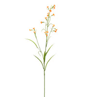 MINI NICOTIANA 75CM ORANGE