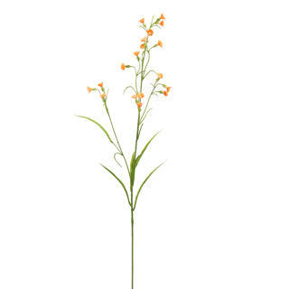 MINI NICOTIANA 75CM ORANGE