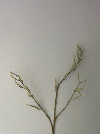 STACHYURUS SPRAY 106CM GREEN
