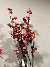 Apple berry pink