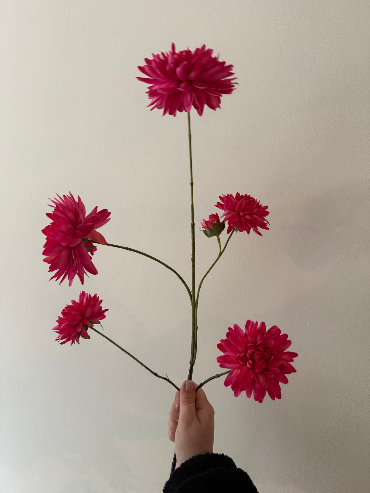 Pink dahlia XL