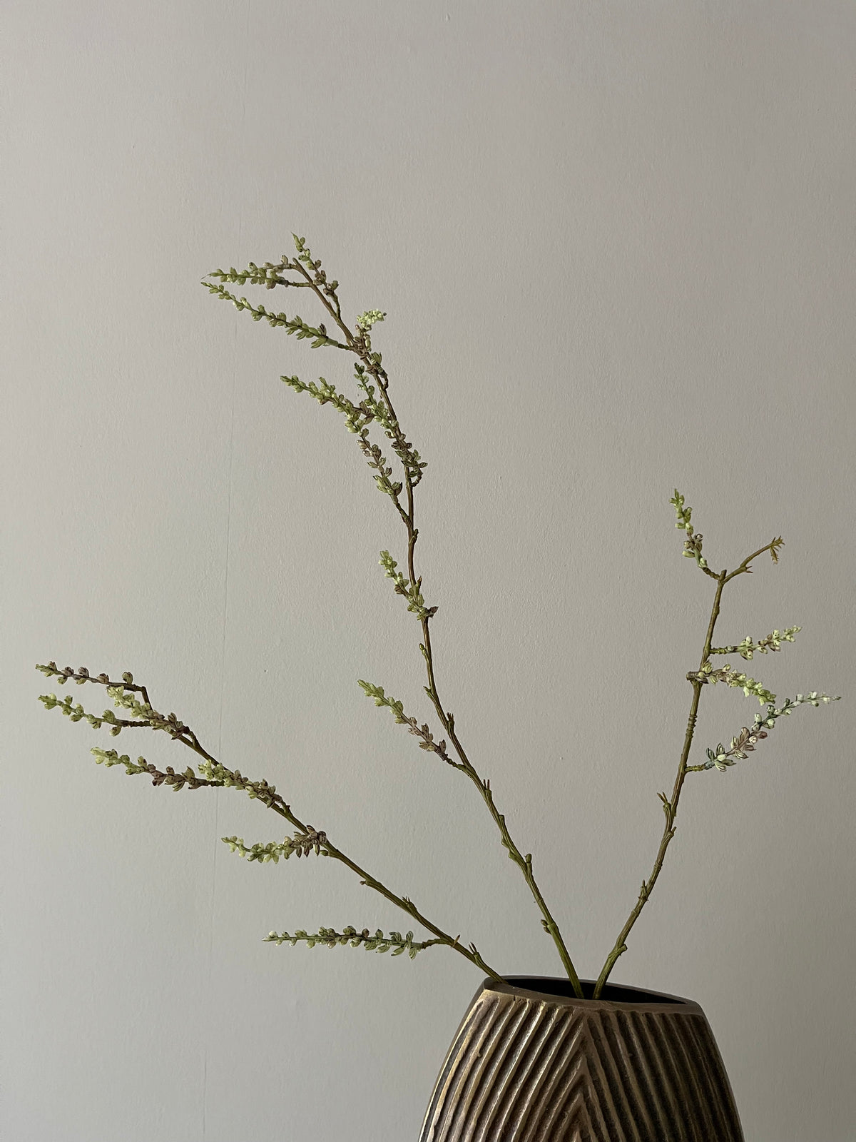 STACHYURUS SPRAY 106CM GREEN