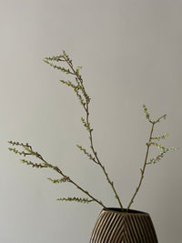 STACHYURUS SPRAY 106CM GREEN