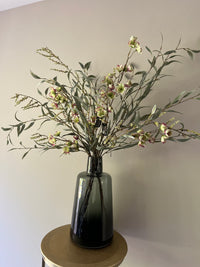 Large Helleborus