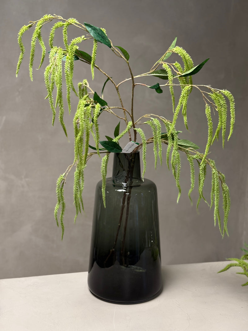 Amaranthus takken