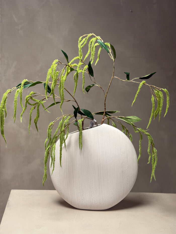 Amaranthus takken