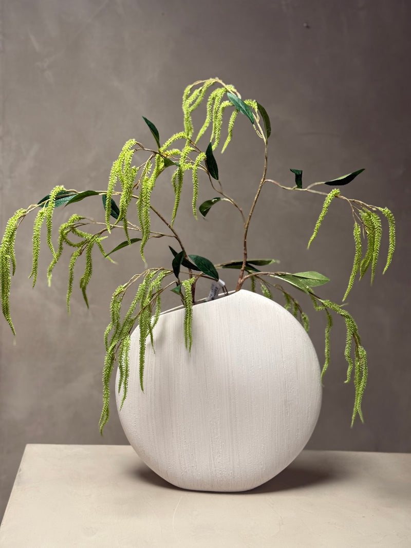 Amaranthus takken