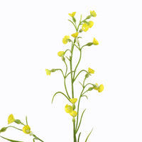 MINI NICOTIANA 75CM YELLOW