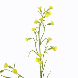 MINI NICOTIANA 75CM YELLOW