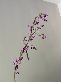 Rosehip purple