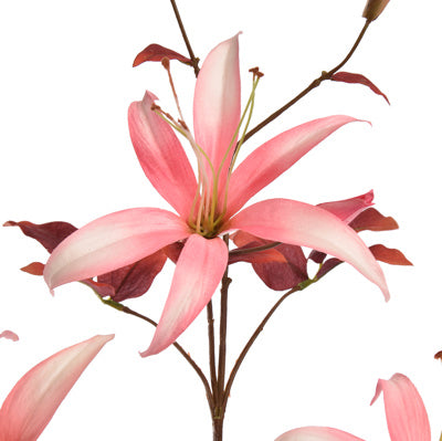Slim Lily spray pink
