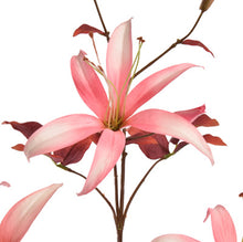 Afbeelding in Gallery-weergave laden, Slim Lily spray pink
