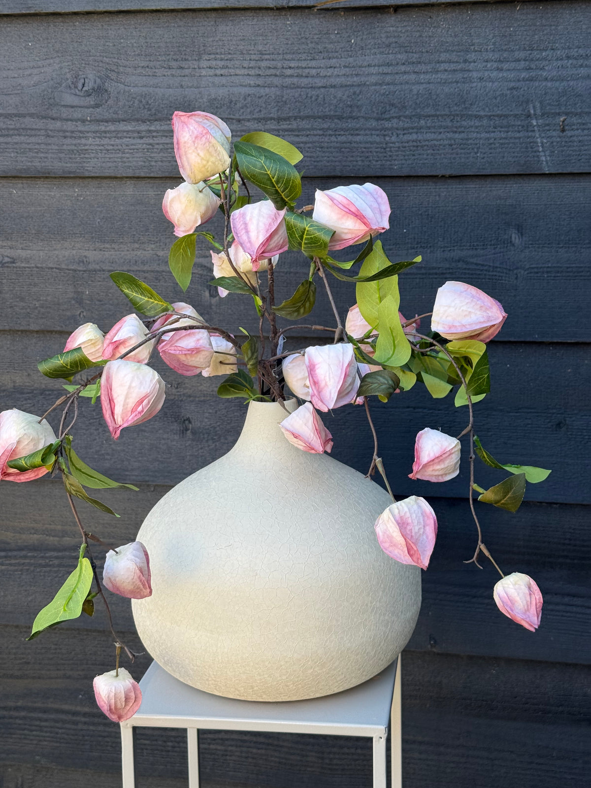 Vaas Evie Bulb S creme