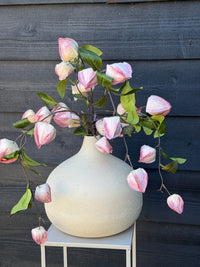 Vaas Evie Bulb S creme