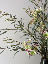 Zijdenboeket Helleborus