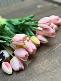 Tulpen roze lang