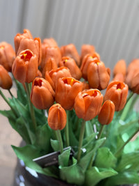 Tulpen bruin lang