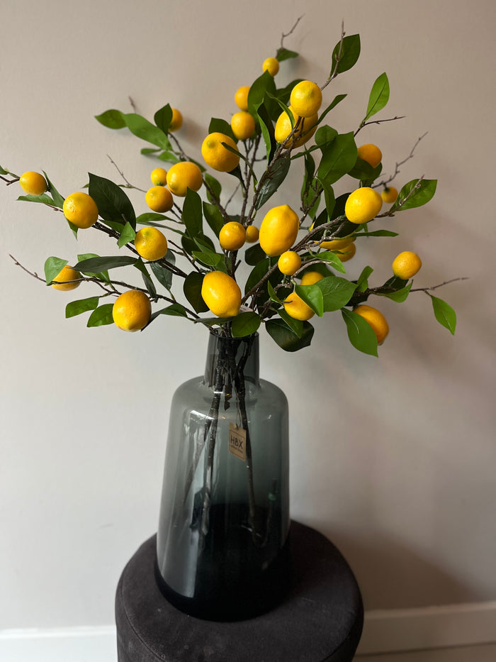 Lemon Sweet 80cm
