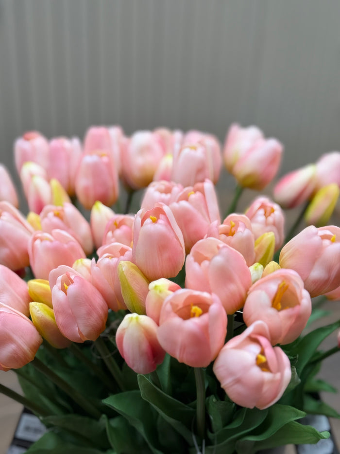 Tulpen roze lang