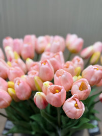 Tulpen roze lang