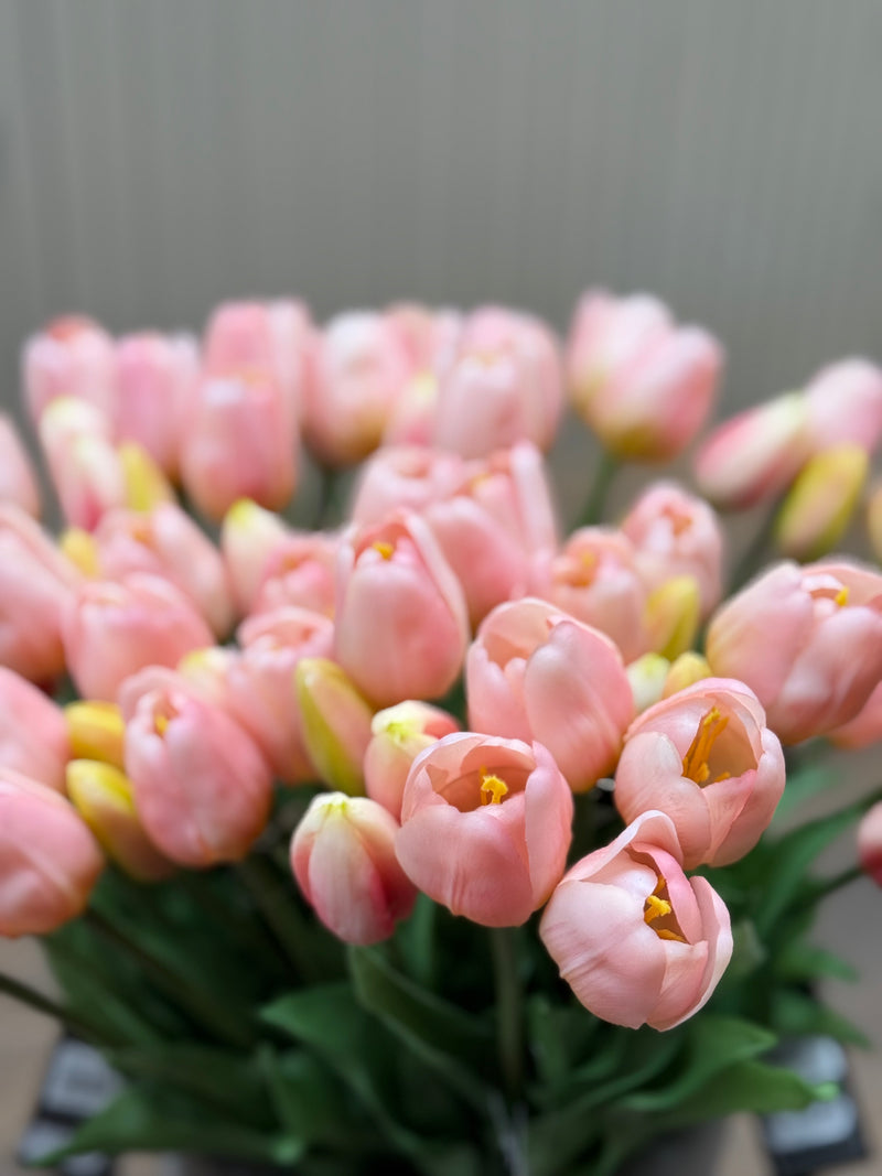 Tulpen roze lang